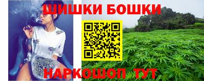 дурь Сланцы